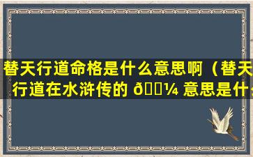 替天行道命格是什么意思啊（替天行道在水浒传的 🌼 意思是什么）